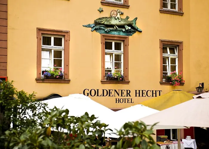 Goldener Hecht
